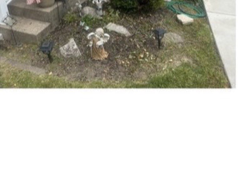 Soggy front garden bed before drainage work