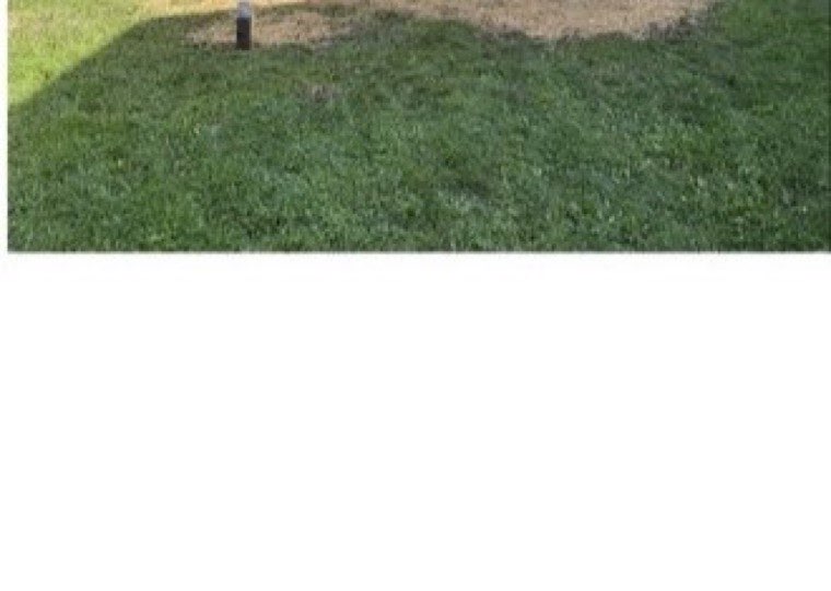 Same backyard after soil and seeding repair